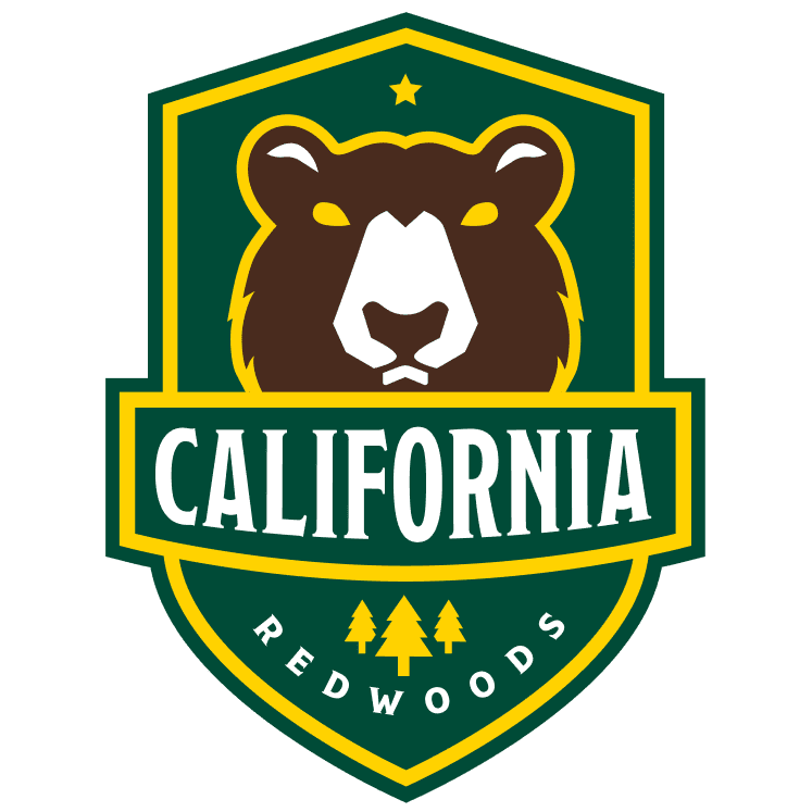 11092023_teamcities_california_redwoods_418